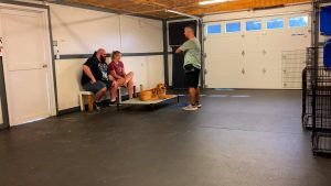 Golden Retriever - Elvis Testimonial - On and Off Leash